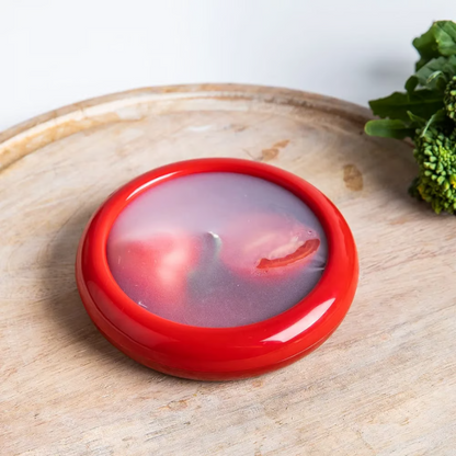 4-Piece Fruit & Veggie Storage Set ~ Keep your cut produce fresh and organized with ease