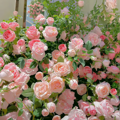 Climbing Rose Seeds ~ Transform fences into floral walls naturally.