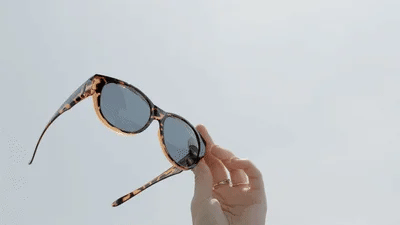 Cat Eye Polarized Sunglasses ~ Statement style with serious sun defense.