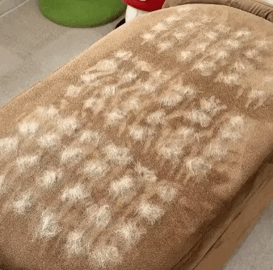 Electrostatic Pet Hair Removal Grooming Gloves ~ Instant fur removal & gentle pet grooming
