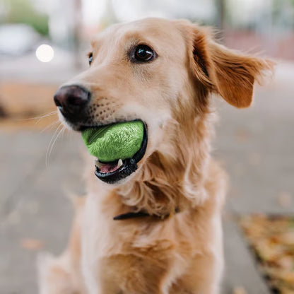 Anti-Anxiety Automatic Moving Ball ~ Unleash nonstop zoomies without lifting a finger.