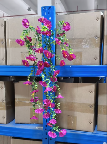 Hanging Morning Glory ~ Year-round floral charm, no watering needed