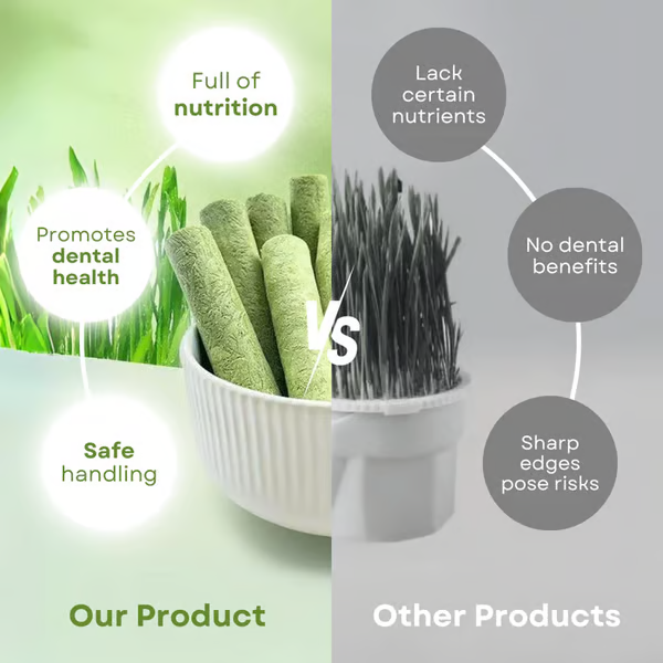 Cat Grass Teething Sticks ~ Daily treat for fresher breath & fewer hairballs