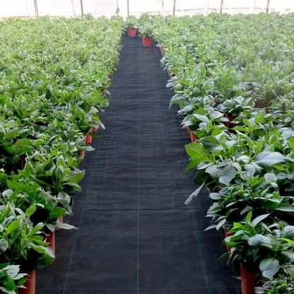 Premium Woven Weed Barrier ~ No chemicals, no mess, just results